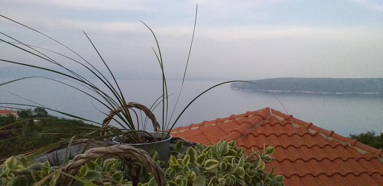 Apartament Jovich 3